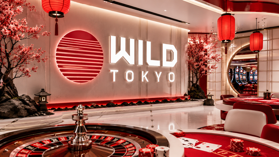 wild tokyo Gameplay